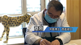 按病情轻重开方 按病情轻重开方